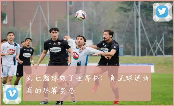 别让赌球毁了世界杯:真正球迷该有的观赛姿态