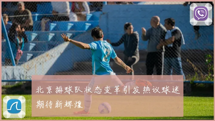 北京排球队状态变革引发热议球迷期待新辉煌