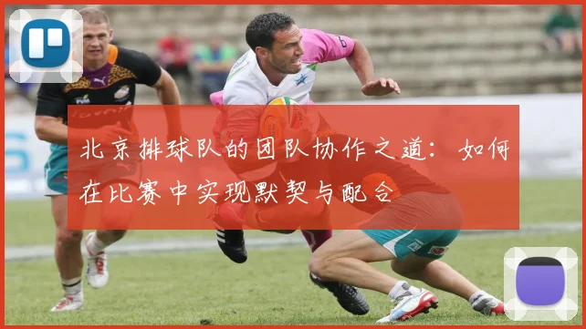 北京排球队的团队协作之道：如何在比赛中实现默契与配合