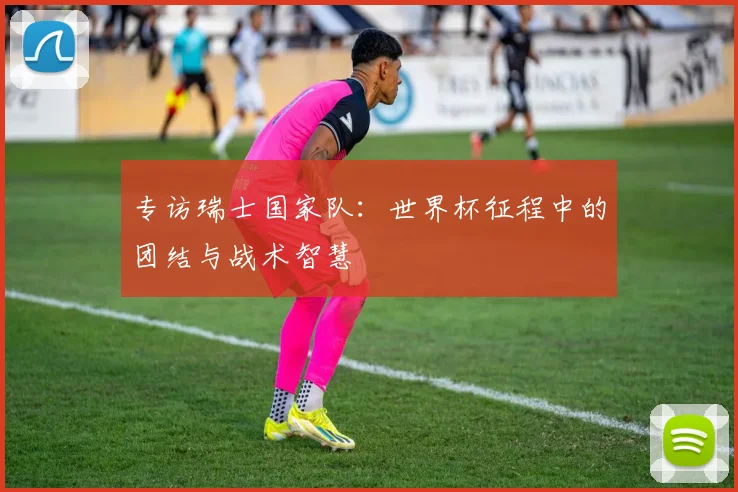 专访瑞士国家队:世界杯征程中的团结与战术智慧