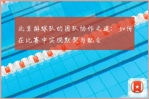 北京排球队的团队协作之道：如何在比赛中实现默契与配合