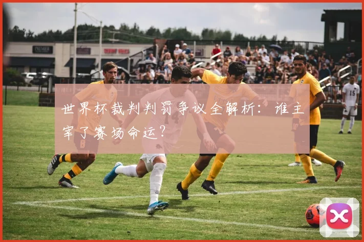 世界杯裁判判罚争议全解析：谁主宰了赛场命运？