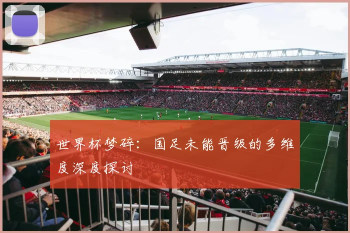 世界杯梦碎：国足未能晋级的多维度深度探讨