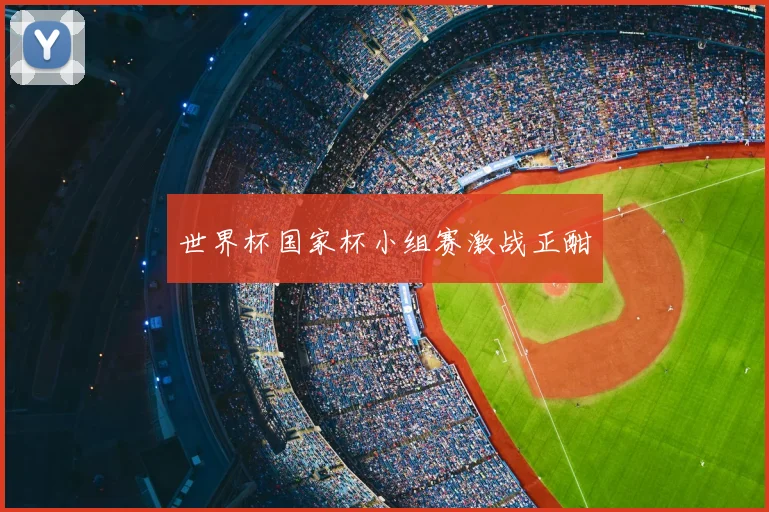世界杯国家杯小组赛激战正酣