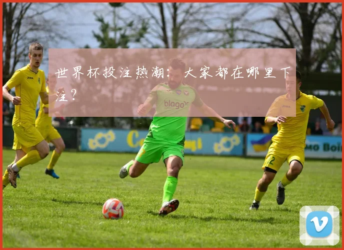 世界杯投注热潮：大家都在哪里下注？