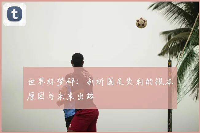 世界杯梦碎：剖析国足失利的根本原因与未来出路