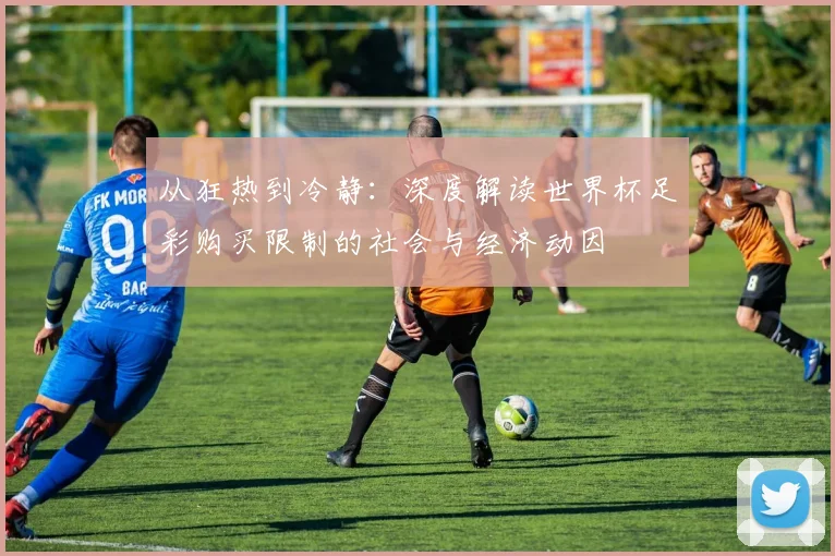 从狂热到冷静:深度解读世界杯足彩购买限制的社会与经济动因