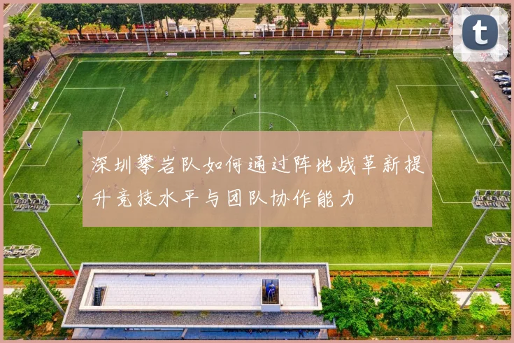 深圳攀岩队如何通过阵地战革新提升竞技水平与团队协作能力
