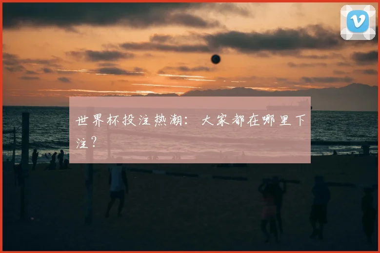 世界杯投注热潮：大家都在哪里下注？